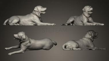 3D model DOG Fake Fur (STL)